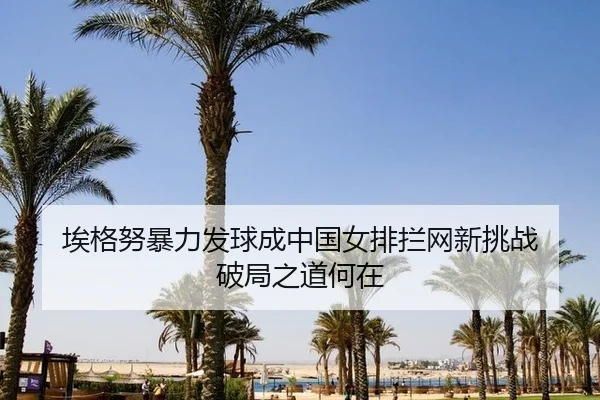 ai-ge-nu-bao-li-fa-qiu-cheng-zhong-guo-nv-pai-lan-wang-xin-tiao-zhan-po-ju-zhi-dao-he-zai-3-677.jpg