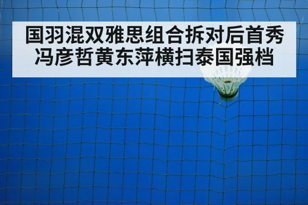 badminton net play